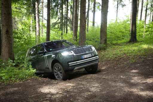 Range_Rover_Belgravia_Green_D350_Autobiography_7927