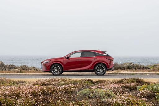 78241-rxmatadorredmica5677